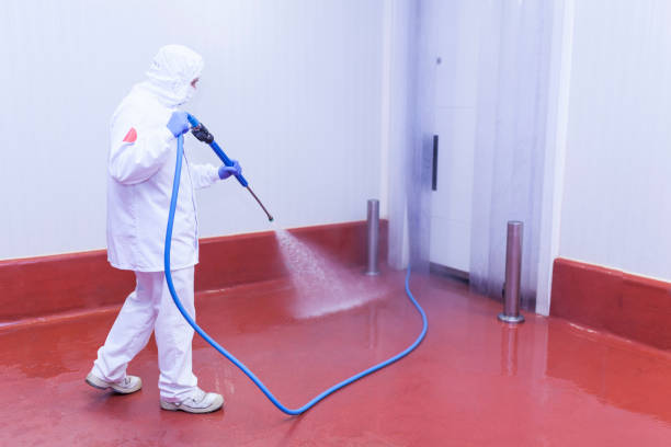 Best Dumpster Area Cleaning  in Suwanee, GA